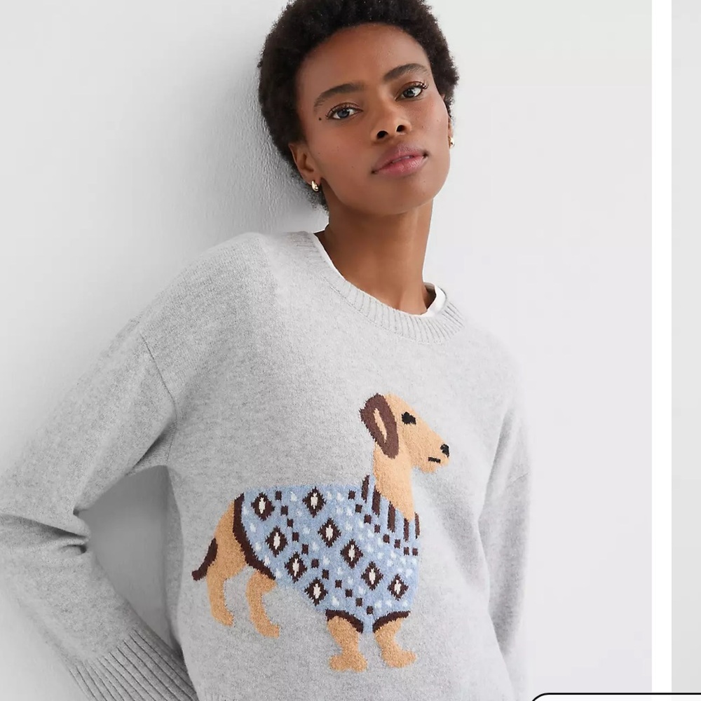 LOFT Dachshund Everyday Sweater Size XL Preppy Dog Lover Cottagecore Boho